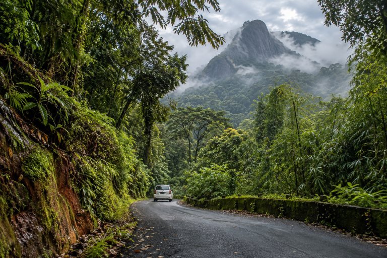 Forest and mountain scenery on a Mysore to Wayanad taxi route